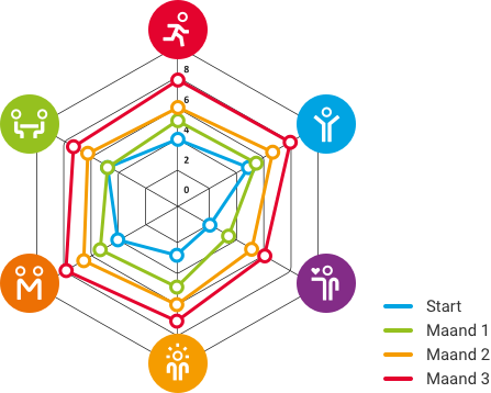 Het spinnenweb van positieve gezondheid.